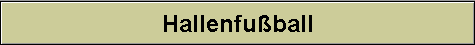 Hallenfuball